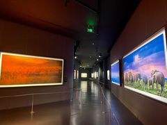 -罗红摄影艺术馆