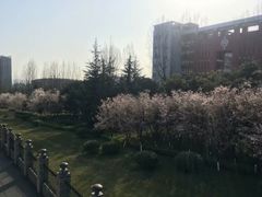 -西南政法大学(渝北校区)