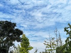 -滆湖低碳生态公园