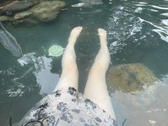 -凤翔首邑温泉度假村