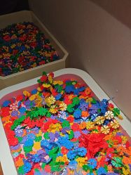 -卡通尼·Safari非洲探索乐园·生日会(金桥国际商业广场店)