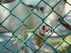-上海滴水湖皇冠假日酒店