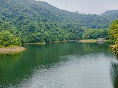 -鼎湖山风景区