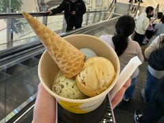 -LUNEURS月乐诗 La Glace(环贸店)