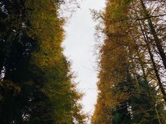 -山王坪喀斯特国家生态公园