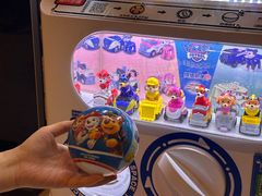 -dodonpa.墩墩伐 便当食堂(博华广场店)