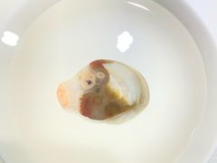 -仪征博物馆