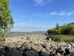 -上海吴淞炮台湾国家湿地公园