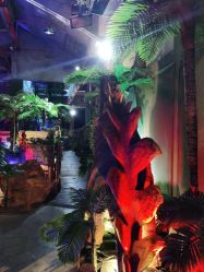 -恐龙探索乐园(磁器口店)