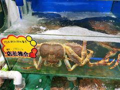 阿拉斯加蟹皇-蚝专家(北滘店)