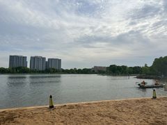 -金沙湖公园
