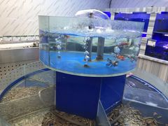 水产区-百姓渔村(朝阳店)