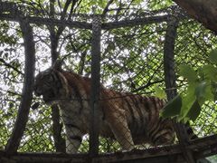 -宁波野生动物园