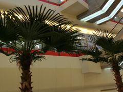 -莲花国际广场