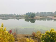 -东郊湿地公园