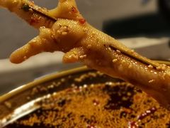 -黄鸡肉钵钵鸡