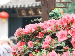 -惠山古镇·寄畅园