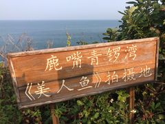 -杨梅坑