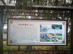 -宋井风景区