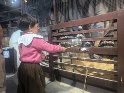 -酷嗒动物文化乐园(cutezoo西溪乐天城店)