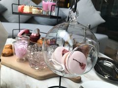 -苏州希尔顿酒店·园大堂吧