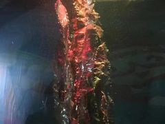 -北戴河圣蓝海洋公园