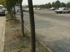 -无忧学车·大众驾校(长宁校区)