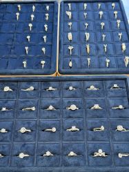 点击看大图 -Cindy Jewelry·钻戒·彩色宝石