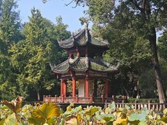 -房湖公园