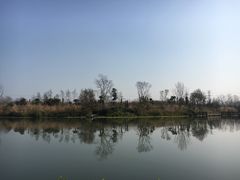 -桤木河湿地公园