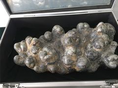 -中国第四纪冰川遗迹陈列馆