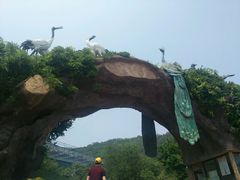 -石老人观光园