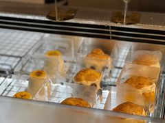 -TD66高山铁皮石斛养生茶饮