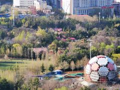 -大连市第二十四中学