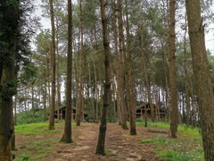 -重庆雨台山风景区