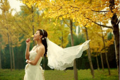 -金公主精品婚纱摄影