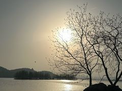 -东湖落雁景区