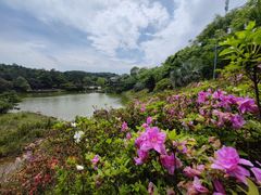 -鼓岭旅游度假区