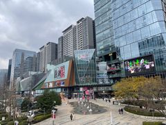 -合景·悠方(成都店)