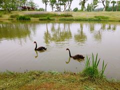 -瑶湖郊野森林公园