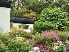 -上海共青森林公园