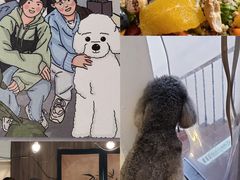 -沏点Trattoria意大利餐厅(新街口店)