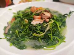 -北海渔村酒楼·粤菜海鲜点心(新华店)