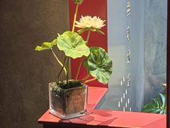 -肆月河豚·新淮扬菜·烤鸭(中关村店)