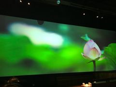 -胖哥俩肉蟹煲(福州仓山爱琴海店)