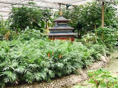 -南宫五洲植物乐园