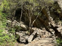 -大岭沟猕猴桃谷风景区