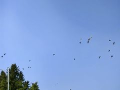 -大连人民广场
