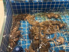 -星伦多自助料理·涮烤一体(杭州来福士店)