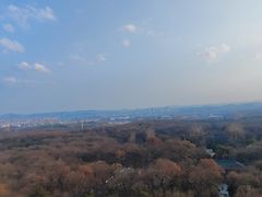 -灵谷景区